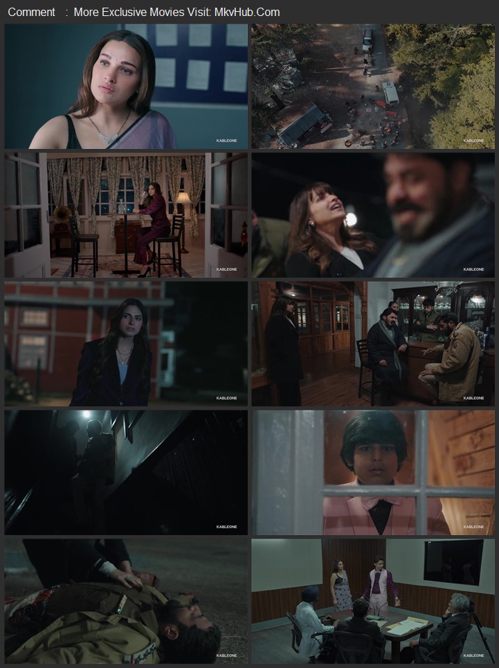 Haan Main Pagal Haan 2025 Punjabi [ORG 2.0] 720p 1080p WEB-DL x264 ESubs Download