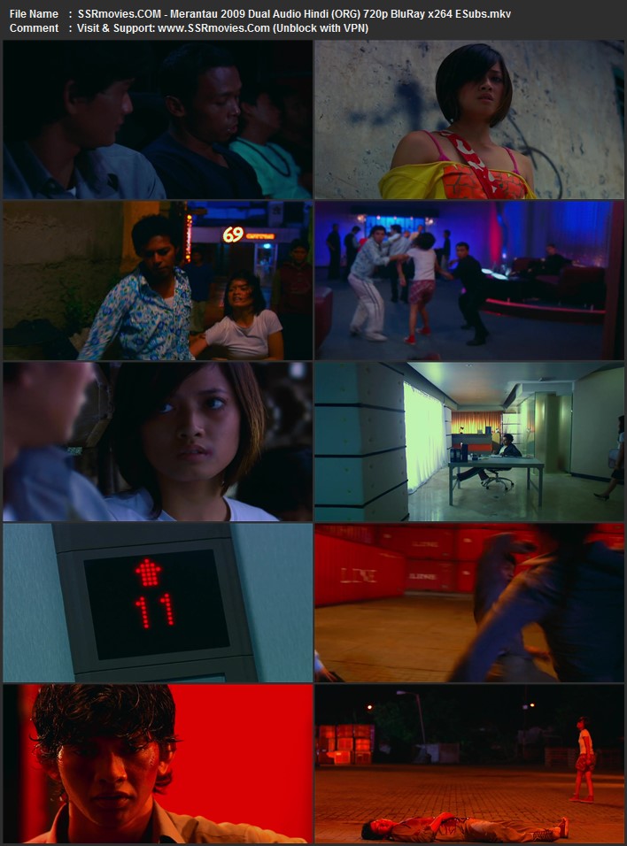 Merantau 2009 Dual Audio Hindi (ORG) 720p 480p BluRay x264 ESubs