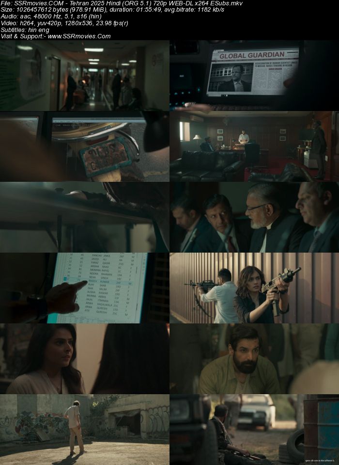 Tehran 2024 Hindi (ORG 5.1) 1080p 720p 480p WEB-DL x264 ESubs