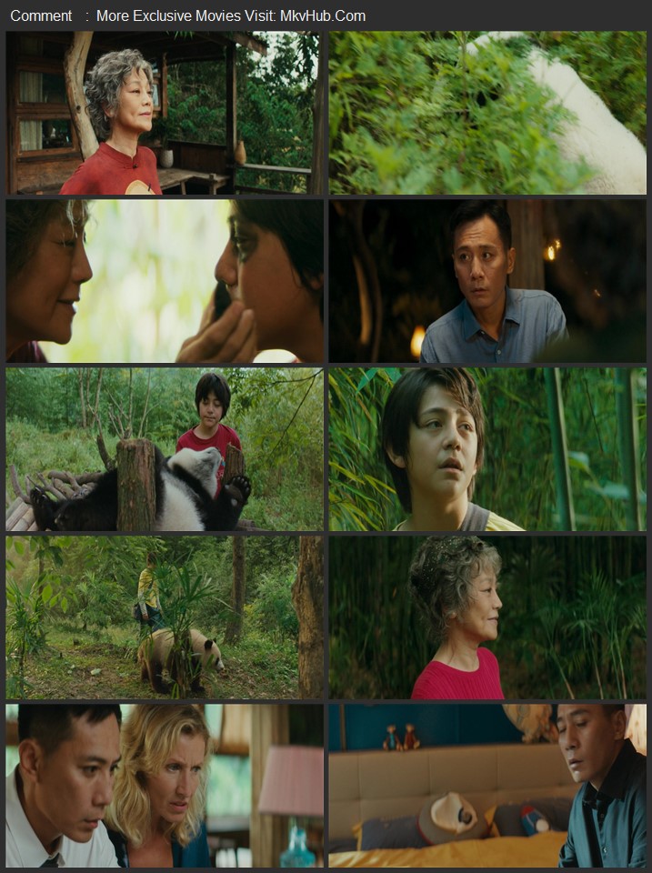 Moon le panda 2025 English [ORG 5.1] 720p WEB-DL x264 ESubs Download