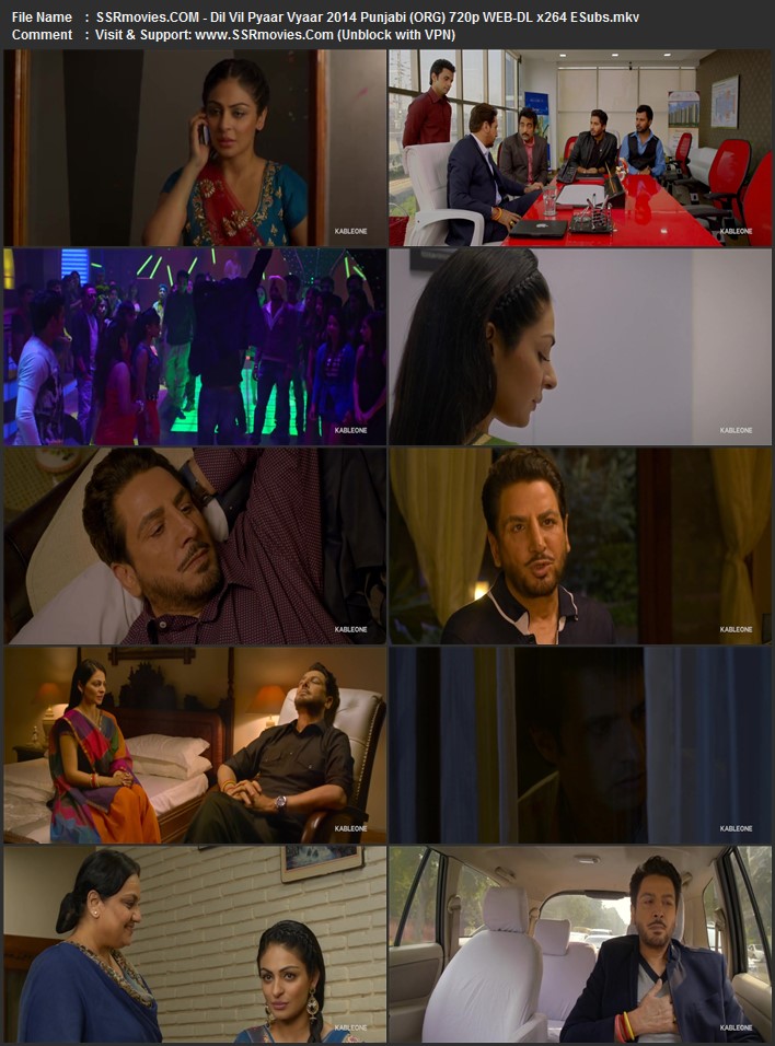 Dil Vil Pyaar Vyaar 2014 Punjabi (ORG) 1080p 720p 480p WEB-DL x264 ESubs