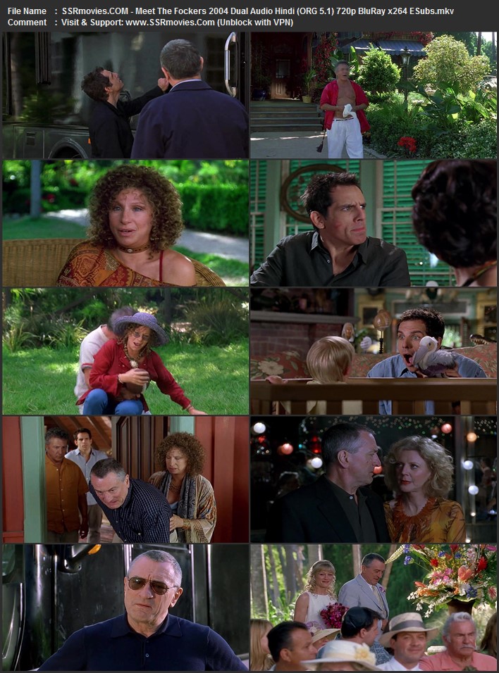 Meet the Fockers 2004 Dual Audio Hindi (ORG 5.1) 1080p 720p 480p BluRay x264 ESubs
