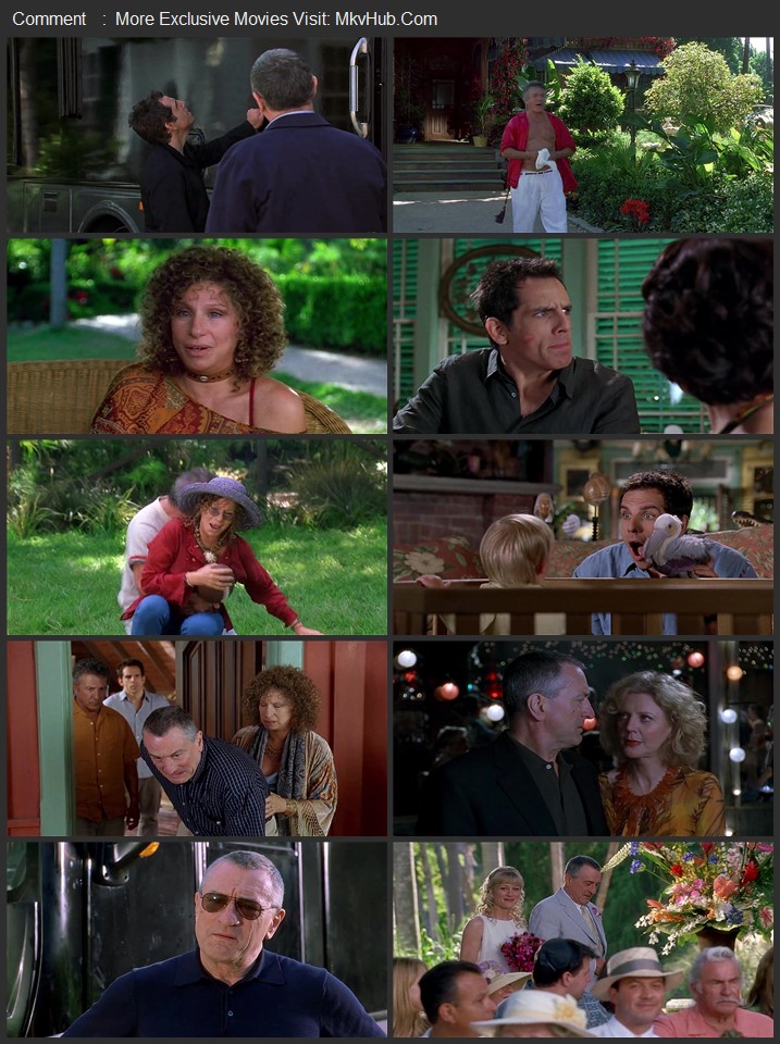 Meet the Fockers 2004 Dual Audio [Hindi-English] ORG 5.1 720p 1080p BluRay x264 ESubs Download