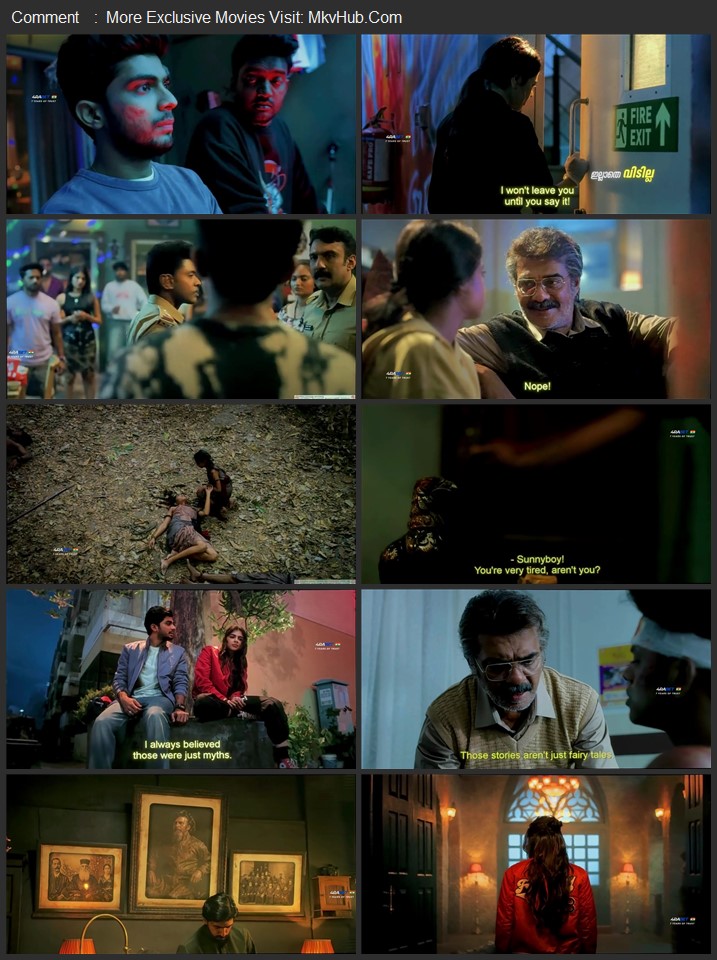 Lokah Chapter One: Chandra 2025 Hindi [Cleaned] 720p 1080p HQ HDTC x264 ESubs Download