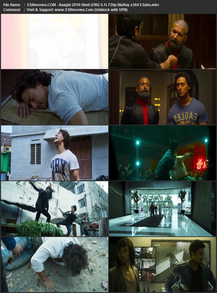 Baaghi 2016 Hindi (ORG 5.1) 1080p 720p 480p BluRay x264 ESubs