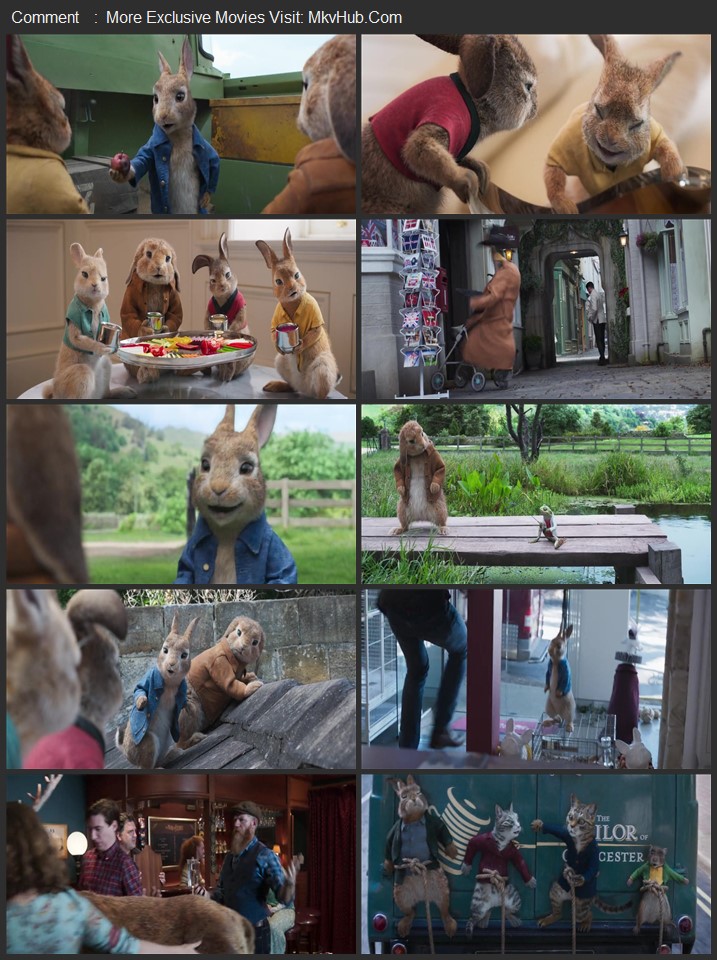Peter Rabbit 2: The Runaway 2021 Dual Audio [Hindi-English] ORG 5.1 720p 1080p BluRay x264 ESubs Download