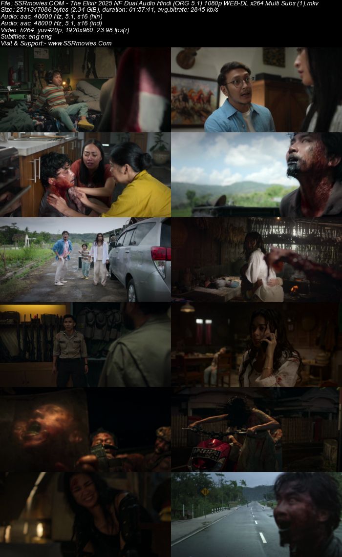 The Elixir 2025 NF Dual Audio Hindi (ORG 5.1) 1080p 720p 480p WEB-DL x264 Multi Subs The Elixir 2025 NF Dual Audio Hindi (ORG 5.1) 1080p 720p 480p WEB-DL x264 Multi Subs