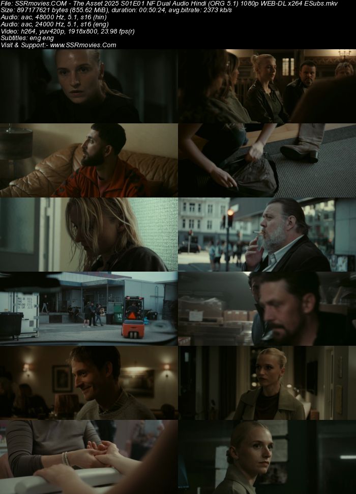 The Asset 2025 S01 Complete NF Dual Audio Hindi (ORG 5.1) 1080p 720p 480p WEB-DL x264 ESubs Download