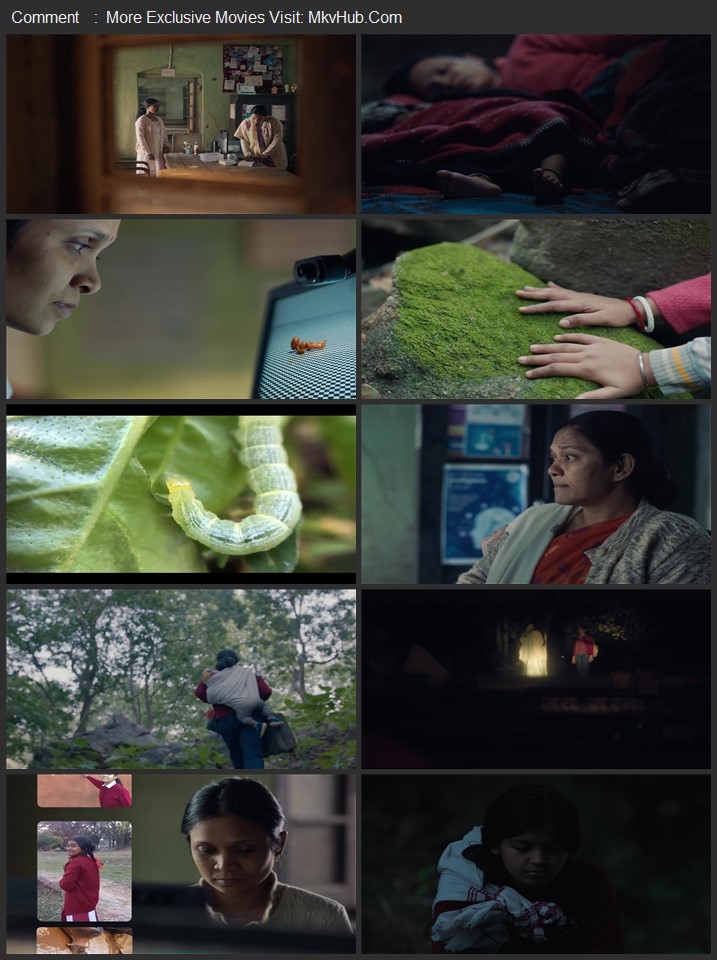 Humans in the Loop 2025 Hindi [ORG 5.1] 720p 1080p WEB-DL x264 ESubs Download