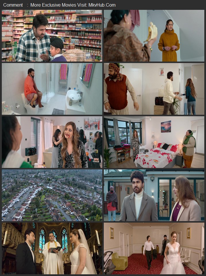 Hey Siri Ve Siri 2024 Dual Audio [Hindi-Punjabi] ORG 5.1 720p 1080p WEB-DL x264 ESubs Download