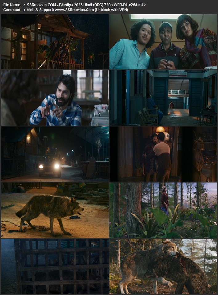 Bhediya 2023 Hindi (ORG 5.1) 1080p 720p 480p WEB-DL x264