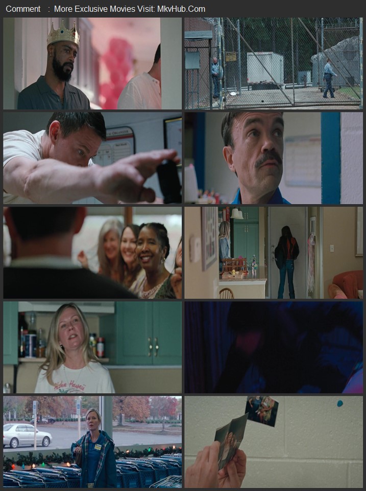 Roofman 2025 English [ORG 5.1] 720p 1080p WEB-DL x264 ESubs Download