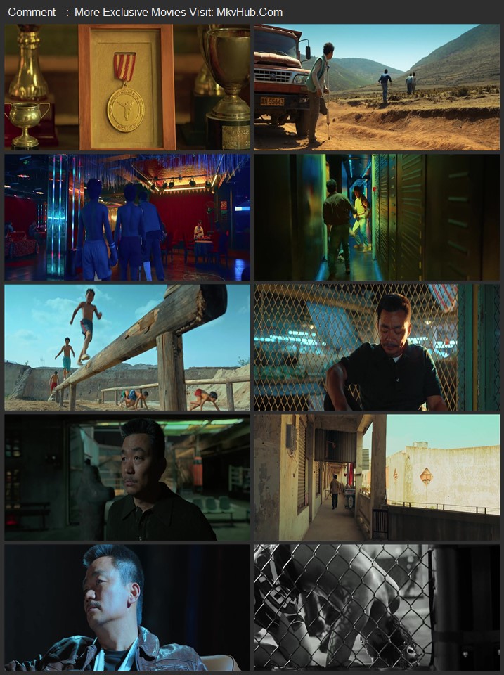 Never Say Never 2023 Dual Audio [Hindi-Chinese] ORG 2.0 720p 1080p WEB-DL x264 ESubs Download