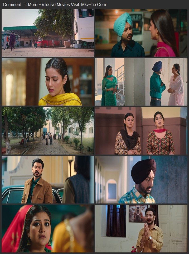 Main Tere Qurbaan 2025 Punjabi [ORG 5.1] 480p 720p 1080p WEB-DL x264 ESubs Download