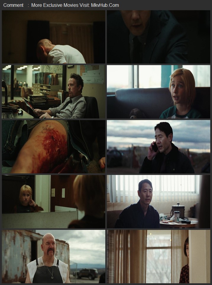 She Rides Shotgun 2025 Dual Audio [Hindi-English] ORG 5.1 480p 720p 1080p WEB-DL x264 ESubs Download