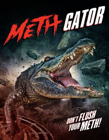 Attack of the Meth Gator 2023 Dual Audio Hindi (ORG) 1080p 720p 480p WEB-DL x264 ESubs