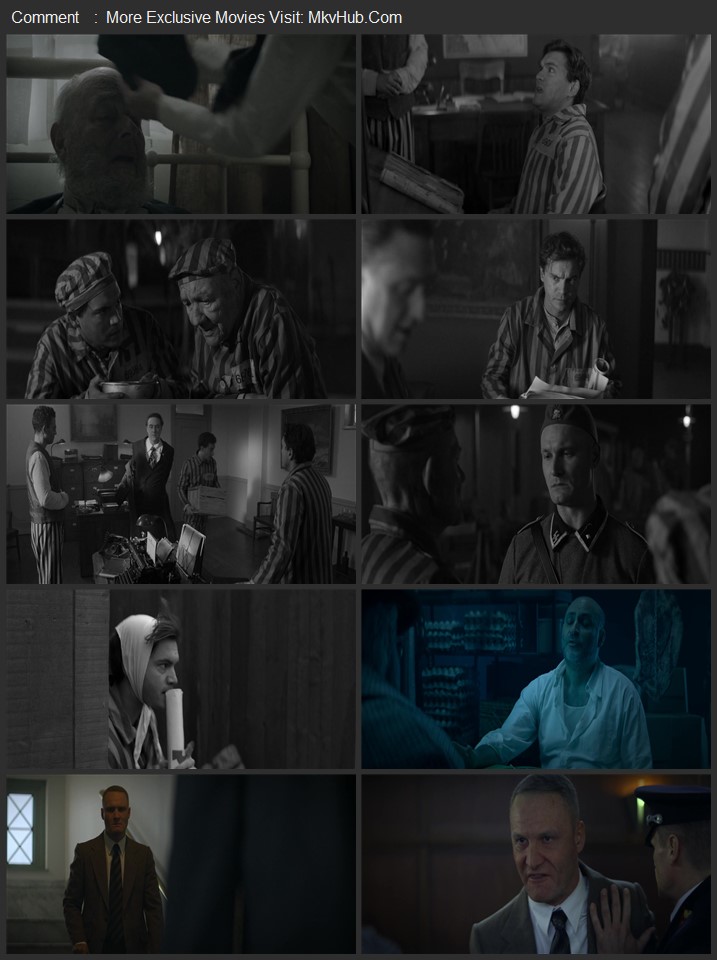 Bau: Artist at War 2024 English [ORG 5.1] 720p 1080p WEB-DL x264 ESubs Download