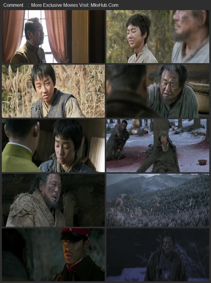 The Tiger 2015 Dual Audio [Hindi-Korean] ORG 2.0 480p 720p 1080p BluRay x264 ESubs Download