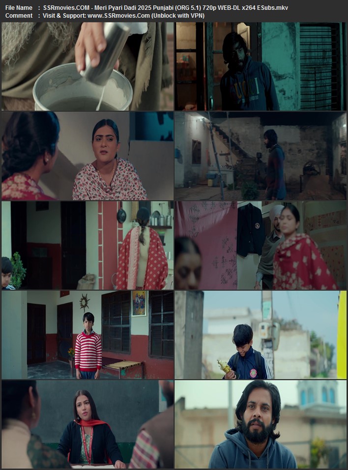 Meri Pyari Daadi 2025 Punjabi (ORG 5.1) 1080p 720p 480p WEB-DL x264 ESubs Meri Pyari Daadi 2025 Punjabi (ORG 5.1) 1080p 720p 480p WEB-DL x264 ESubs