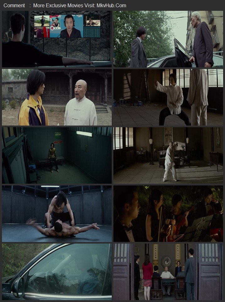 Man of Tai Chi 2013 Dual Audio [Hindi-English] ORG 5.1 480p 720p 1080p BluRay x264 ESubs Download
