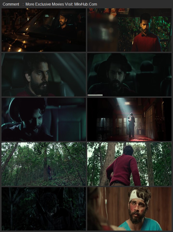 Vritta 2024 UNCUT Dual Audio [Hindi-Kannada] ORG 5.1 480p 720p 1080p WEB-DL x264 ESubs Download