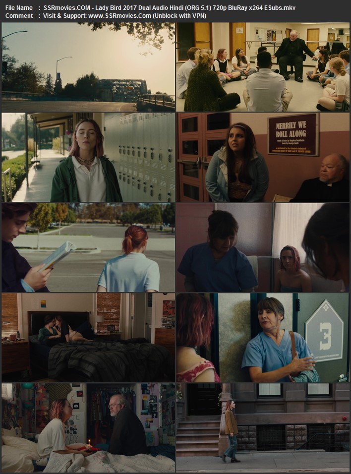 Lady Bird 2017 Dual Audio Hindi (ORG 5.1) 1080p 720p 480p BluRay x264 ESubs