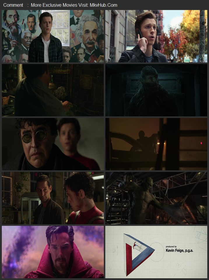 Spider-Man: No Way Home 2021 Dual Audio [Hindi-English] ORG 5.1 480p 720p 1080p BluRay x264 ESubs Download