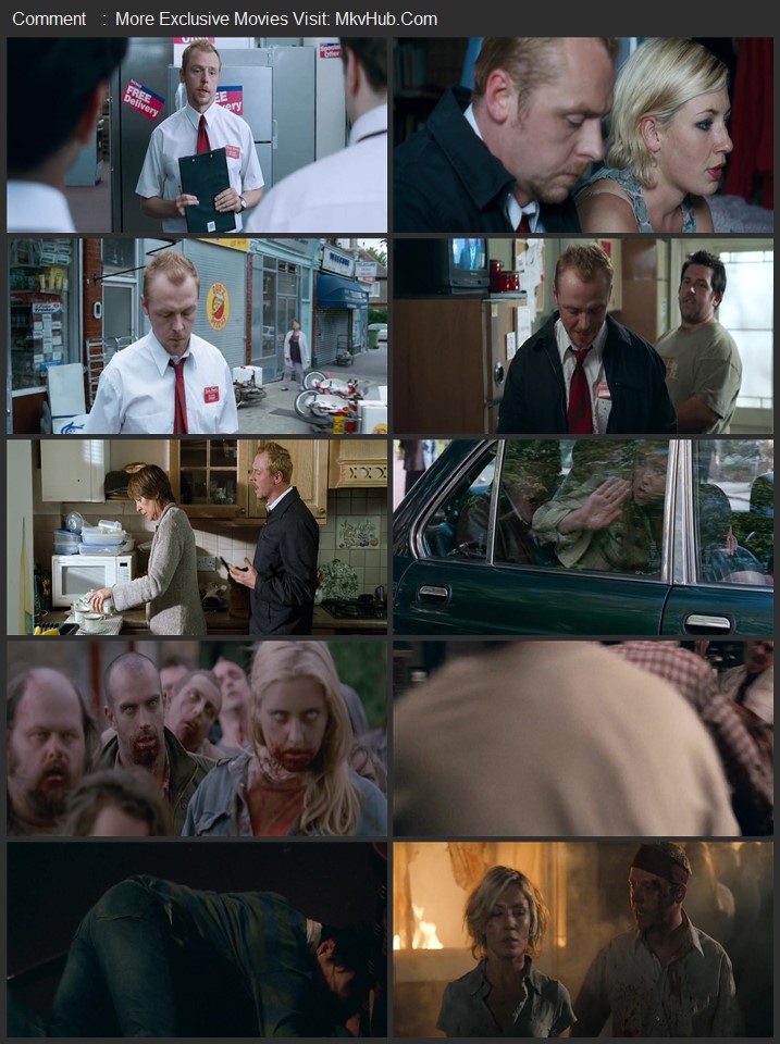 Shaun of the Dead 2004 Dual Audio [Hindi-English] ORG 5.1 480p 720p 1080p BluRay x264 ESubs Download