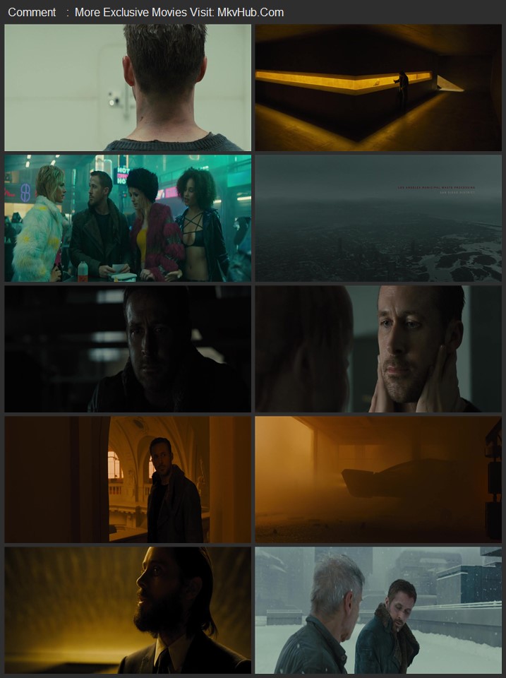 Blade Runner 2049 2017 Dual Audio [Hindi-English] ORG 2.0 480p 720p 1080p WEB-DL x264 ESubs Download