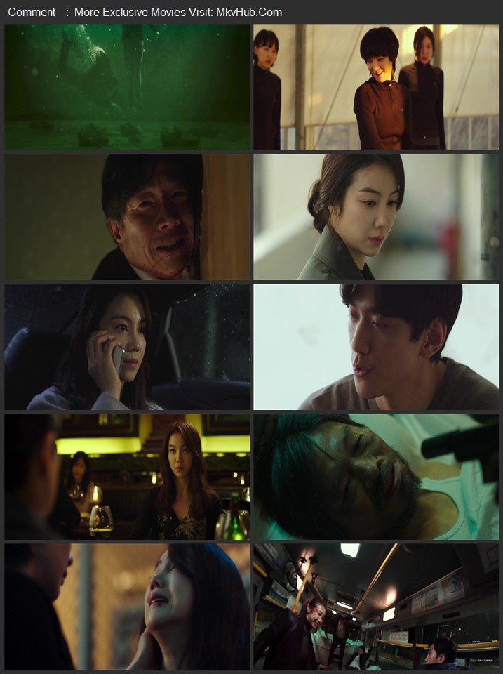 The Villainess 2017 Dual Audio [Hindi-Korean] ORG 2.0 480p 720p 1080p WEB-DL x264 ESubs Download