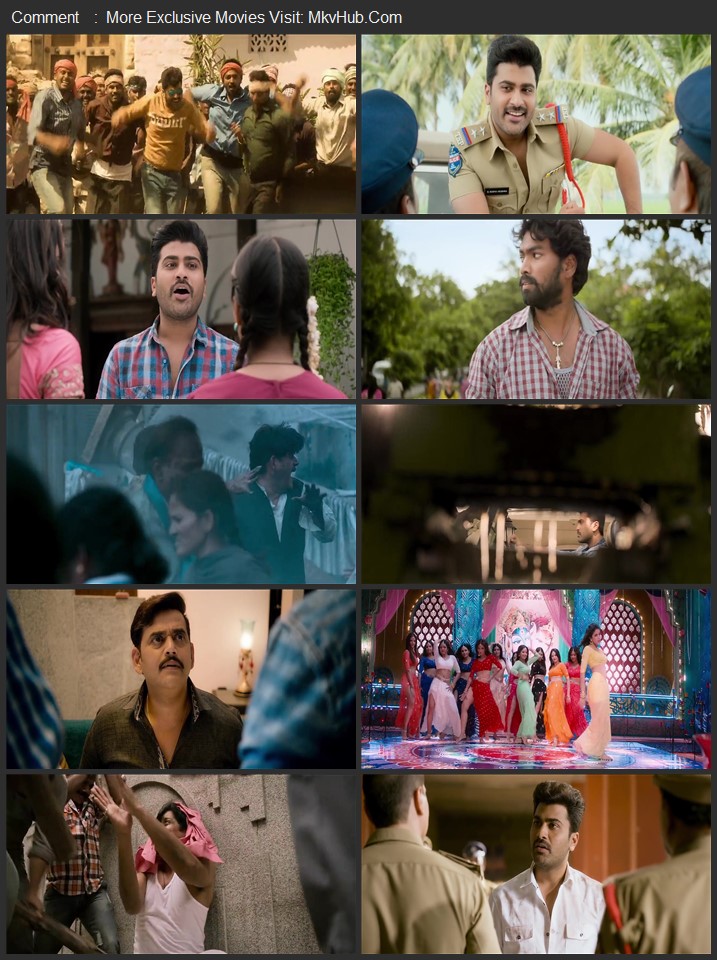 Radha 2017 UNCUT Dual Audio [Hindi-Telugu] ORG 2.0 480p 720p 1080p WEB-DL x264 ESubs Download