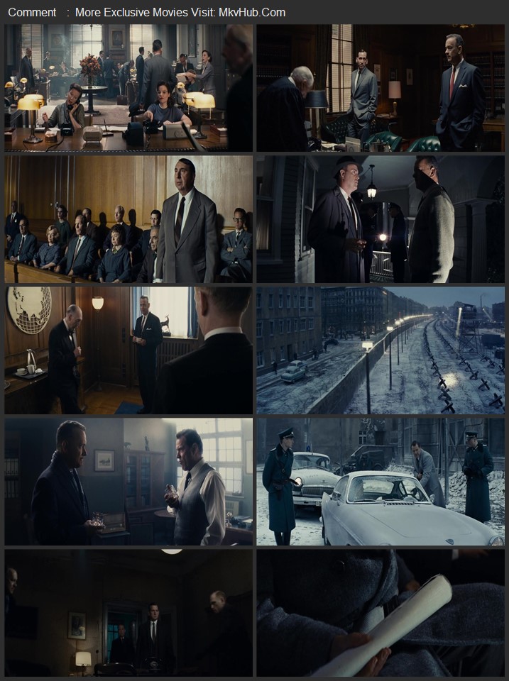 Bridge of Spies 2015 Dual Audio [Hindi-English] ORG 5.1 480p 720p 1080p BluRay x264 ESubs Download