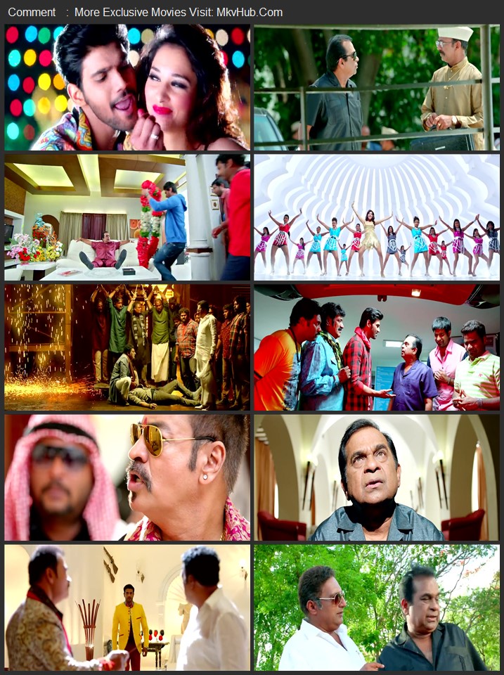 Alludu Seenu 2014 UNCUT Dual Audio [Hindi-Telugu] ORG 2.0 480p 720p 1080p WEB-DL x264 ESubs Download