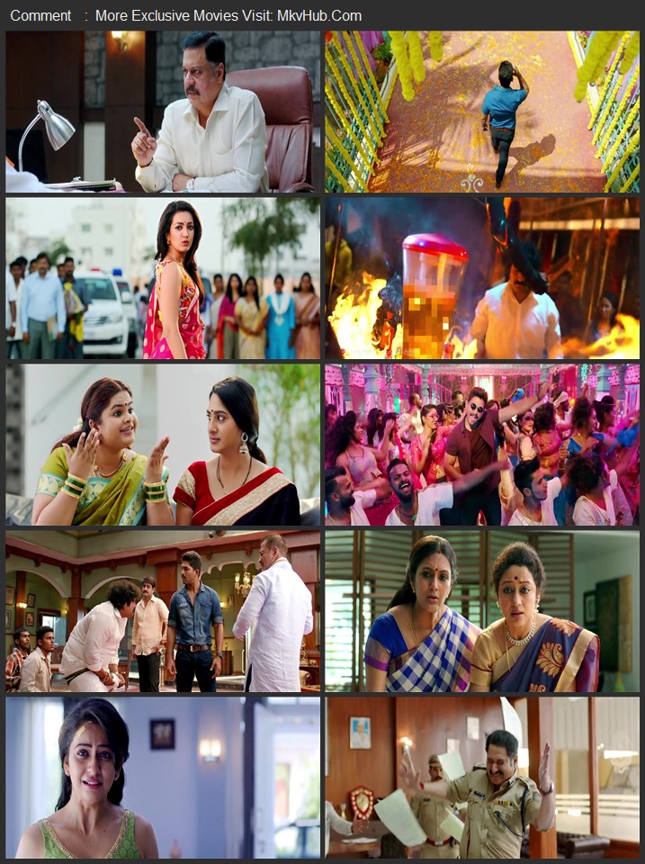 Sarrainodu 2016 UNCUT Dual Audio [Hindi-Telugu] ORG 5.1 480p 720p 1080p WEB-DL x264 ESubs Download
