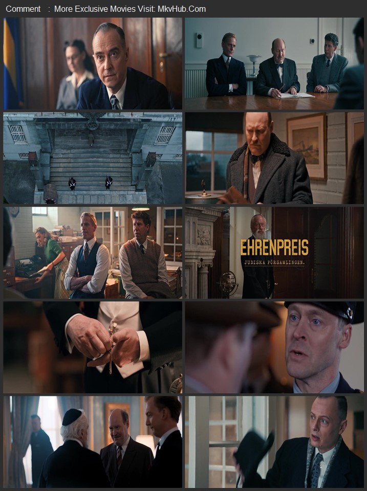 The Swedish Connection 2026 Dual Audio [Hindi-English] ORG 5.1 480p 720p 1080p WEB-DL x264 ESubs Download