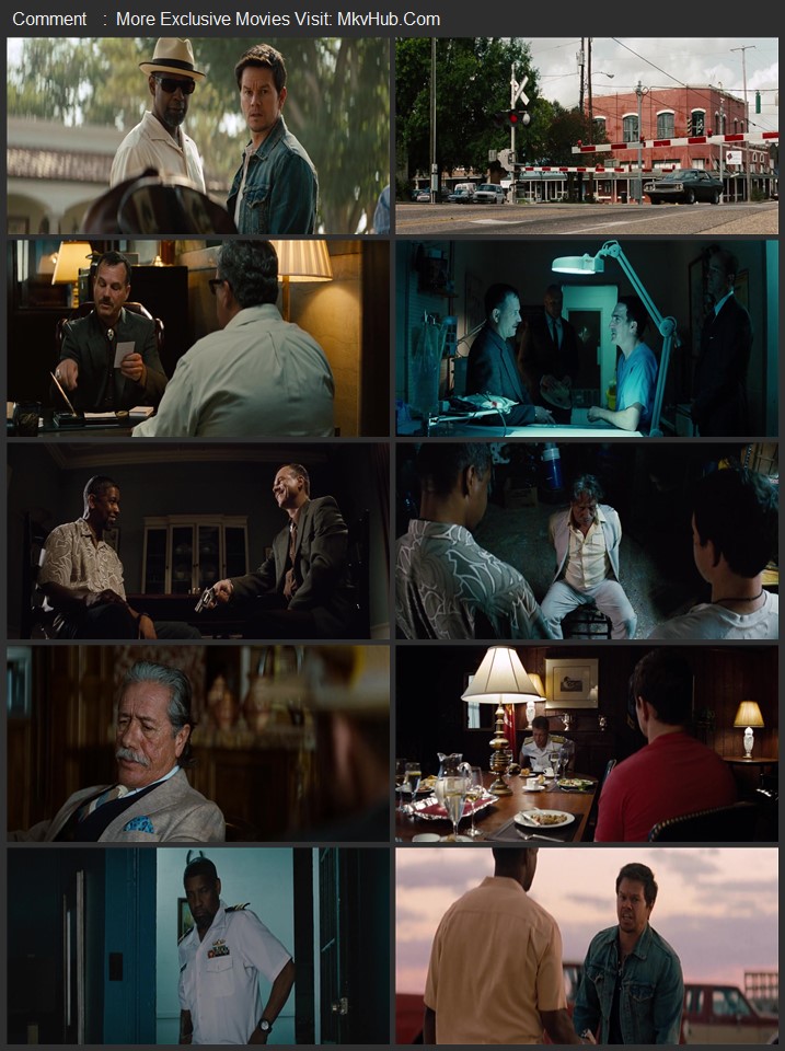2 Guns 2013 Dual Audio [Hindi-English] ORG 2.0 480p 720p 1080p BluRay x264 ESubs Download