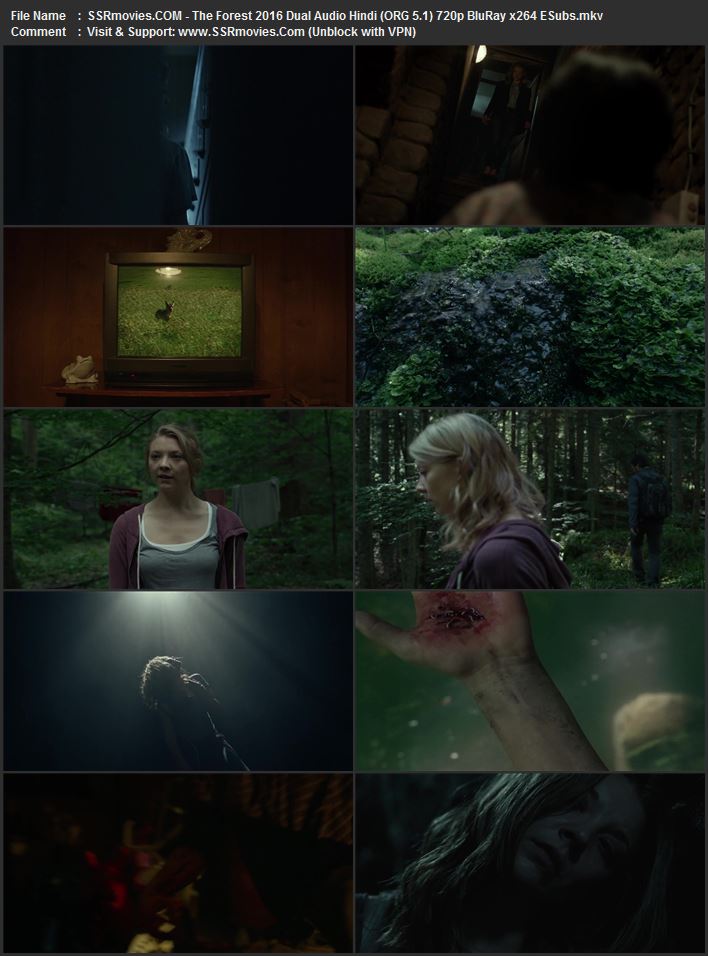 The Forest 2016 Dual Audio Hindi (ORG 5.1) 1080p 720p 480p BluRay x264 ESubs The Forest 2016 Dual Audio Hindi (ORG 5.1) 1080p 720p 480p BluRay x264 ESubs