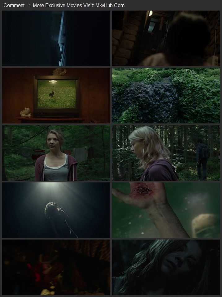 The Forest 2016 Dual Audio [Hindi-English] ORG 5.1 480p 720p 1080p BluRay x264 ESubs Download