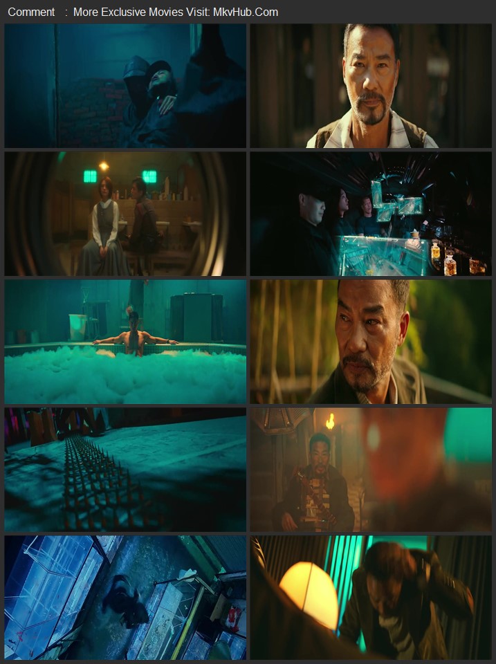 The Comeback 2024 Dual Audio [Hindi-Chinese] ORG 5.1 480p 720p 1080p WEB-DL x264 ESubs Download