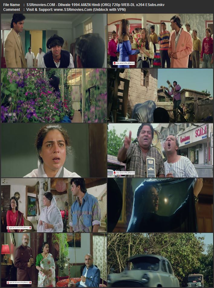 Dilwale 1994 Hindi (ORG) 1080p 720p 480p WEB-DL x264 ESubs