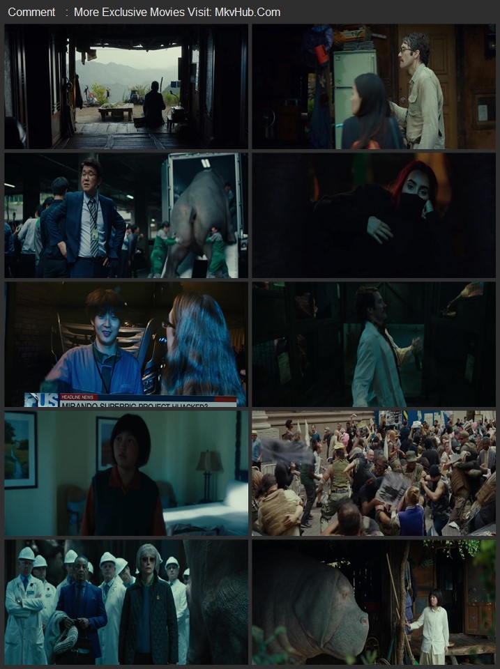 Okja 2017 UNCUT Dual Audio [Hindi-English] ORG 5.1 480p 720p 1080p BluRay x264 ESubs Download