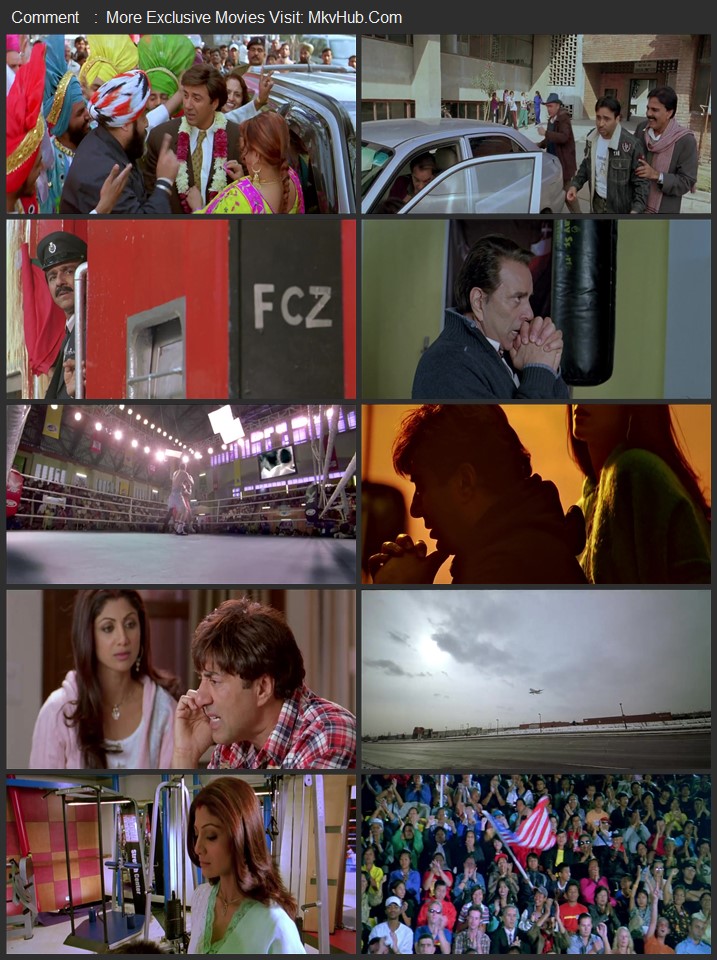 Apne 2007 Hindi [ORG 2.0] 480p 720p 1080p WEB-DL x264 ESubs Download