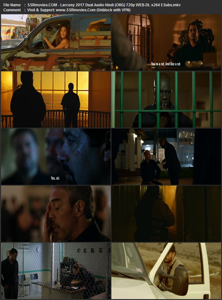 Larceny 2017 Dual Audio Hindi (ORG) 720p 480p WEB-DL x264 ESubs