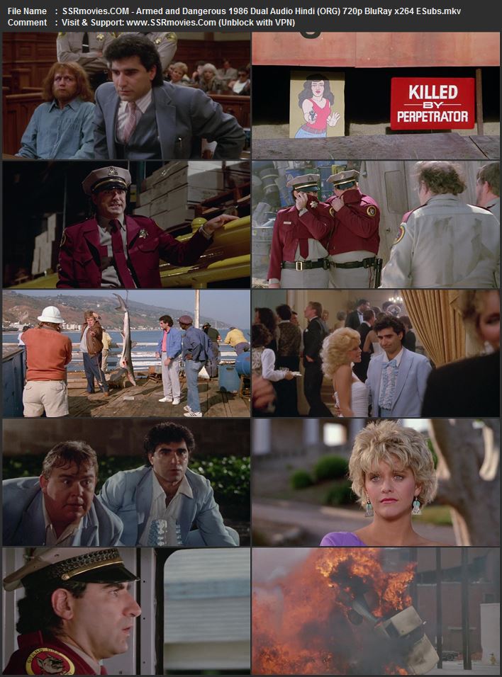 Armed and Dangerous 1986 Dual Audio Hindi (ORG) 720p 480p BluRay x264 ESubs