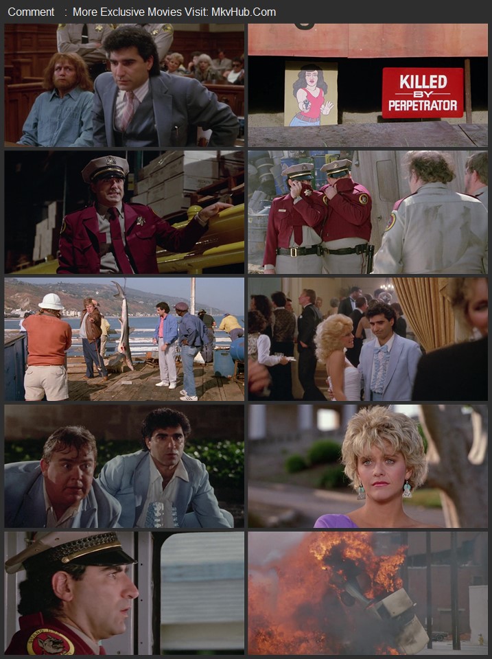 Armed and Dangerous 1986 Dual Audio [Hindi-English] ORG 2.0 480p 720p BluRay x264 ESubs Download