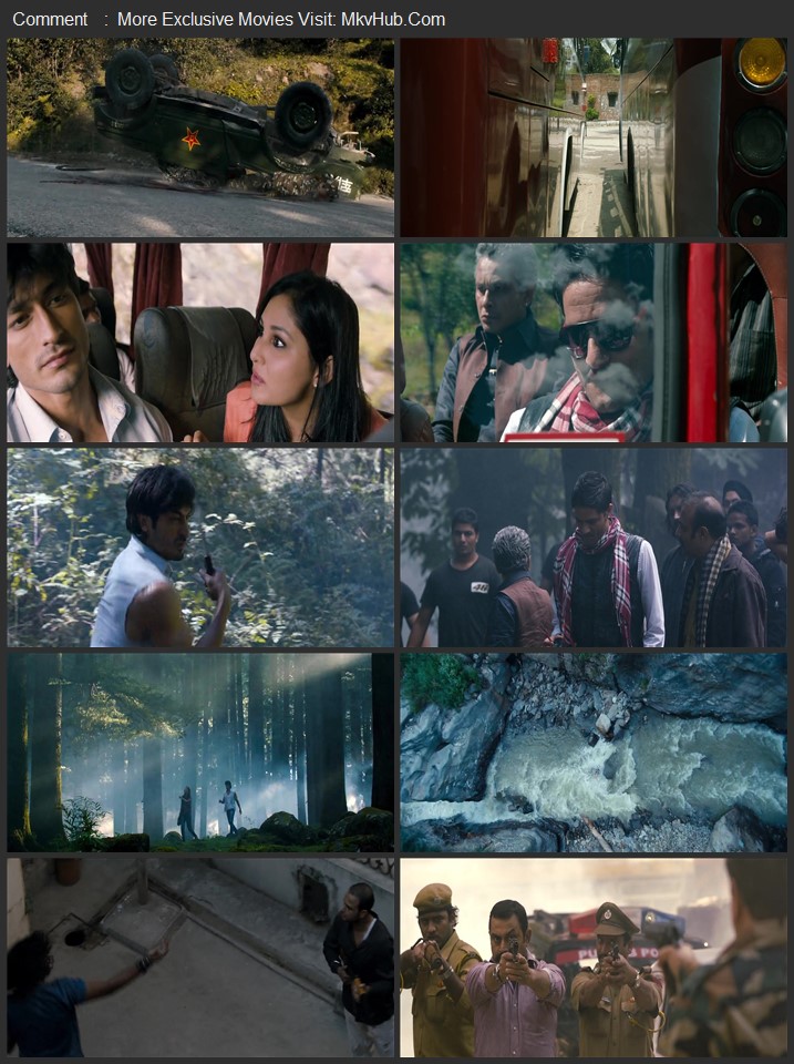 Commando 2013 Hindi [ORG 2.0] 480p 720p 1080p BluRay x264 ESubs Download