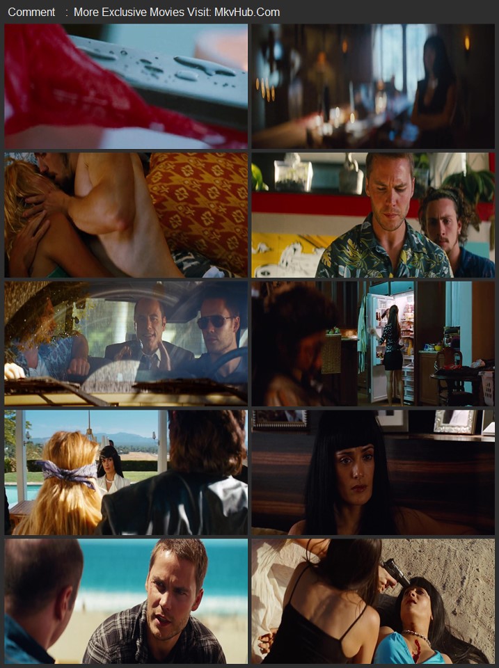 Savages 2012 UNRATED Dual Audio [Hindi-English] ORG 5.1 480p 720p 1080p BluRay x264 ESubs Download
