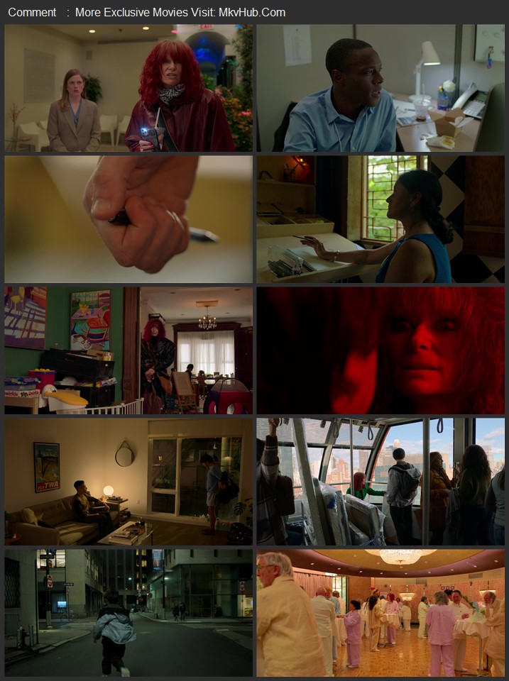 Problemista 2023 English [ORG 5.1] 720p 1080p BluRay x264 ESubs Download