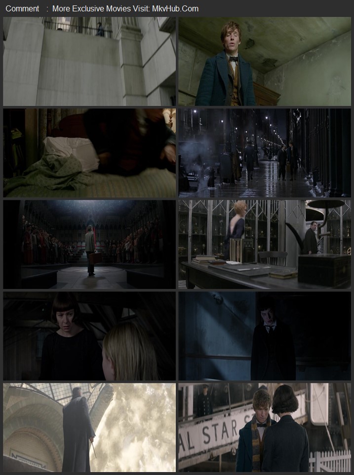 Fantastic Beasts and Where to Find Them 2016 Dual Audio [Hindi-English] ORG 5.1 480p 720p 1080p BluRay x264 ESubs Download