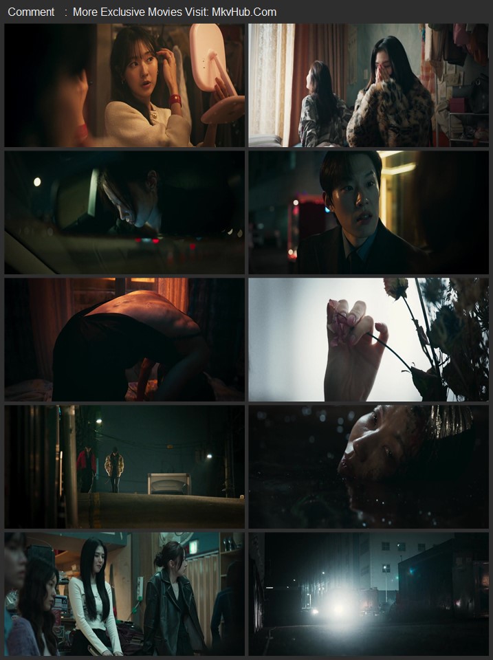 Project Y 2026 Dual Audio [Hindi-Korean] ORG 5.1 480p 720p 1080p WEB-DL x264 ESubs